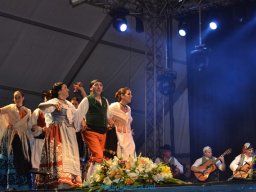 Festival de Folkore en Mula